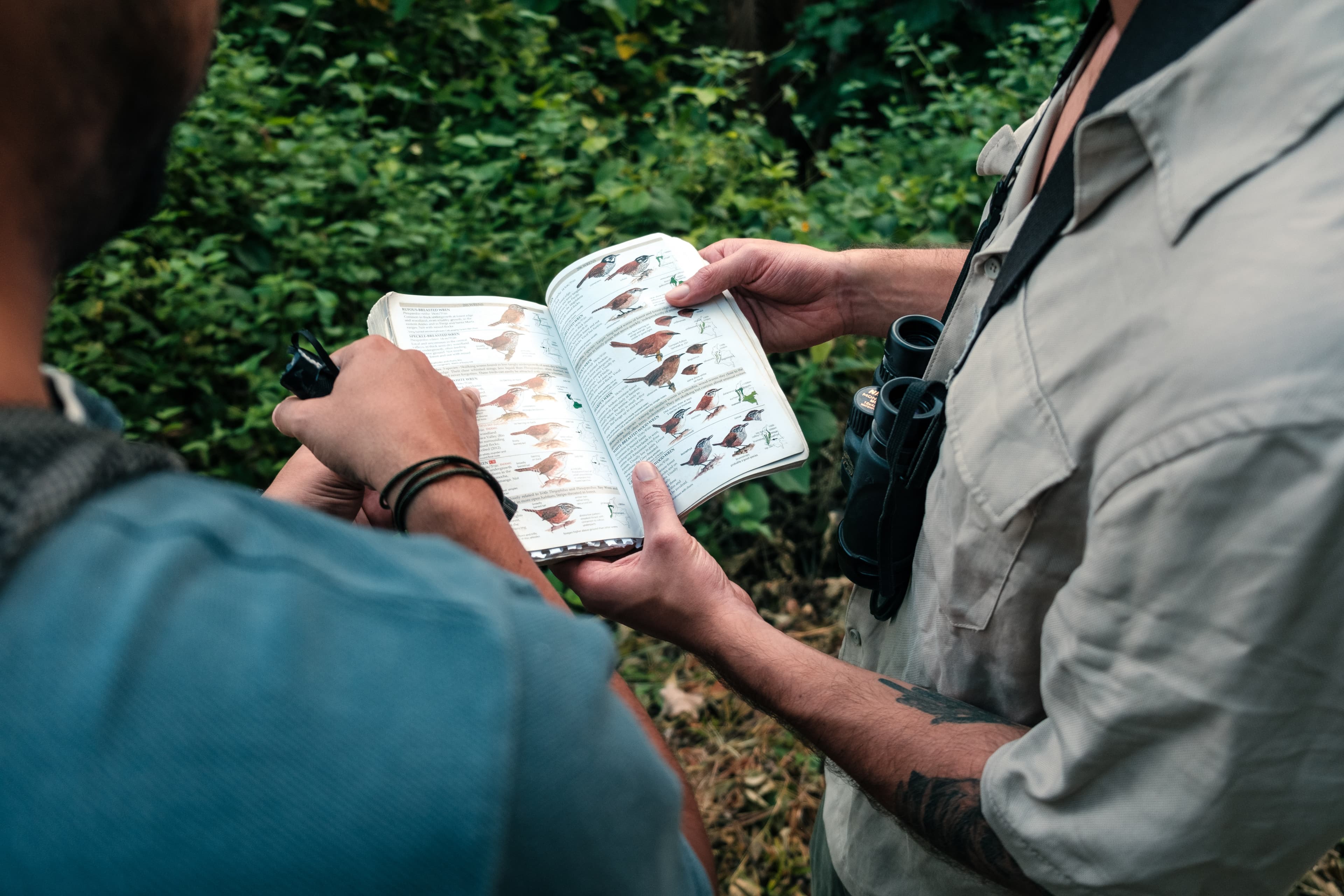 Segundo Llamado a Postular Trabajos: XCRSIP 2026